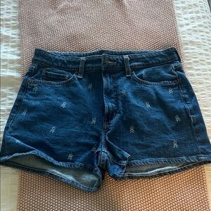 American Eagle Outfitters Embroidered Blue Jean Shorts